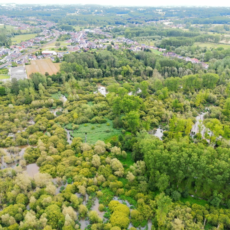 Vrijstaande Woning Op Prachtig Perceel Aan Natuurgebied