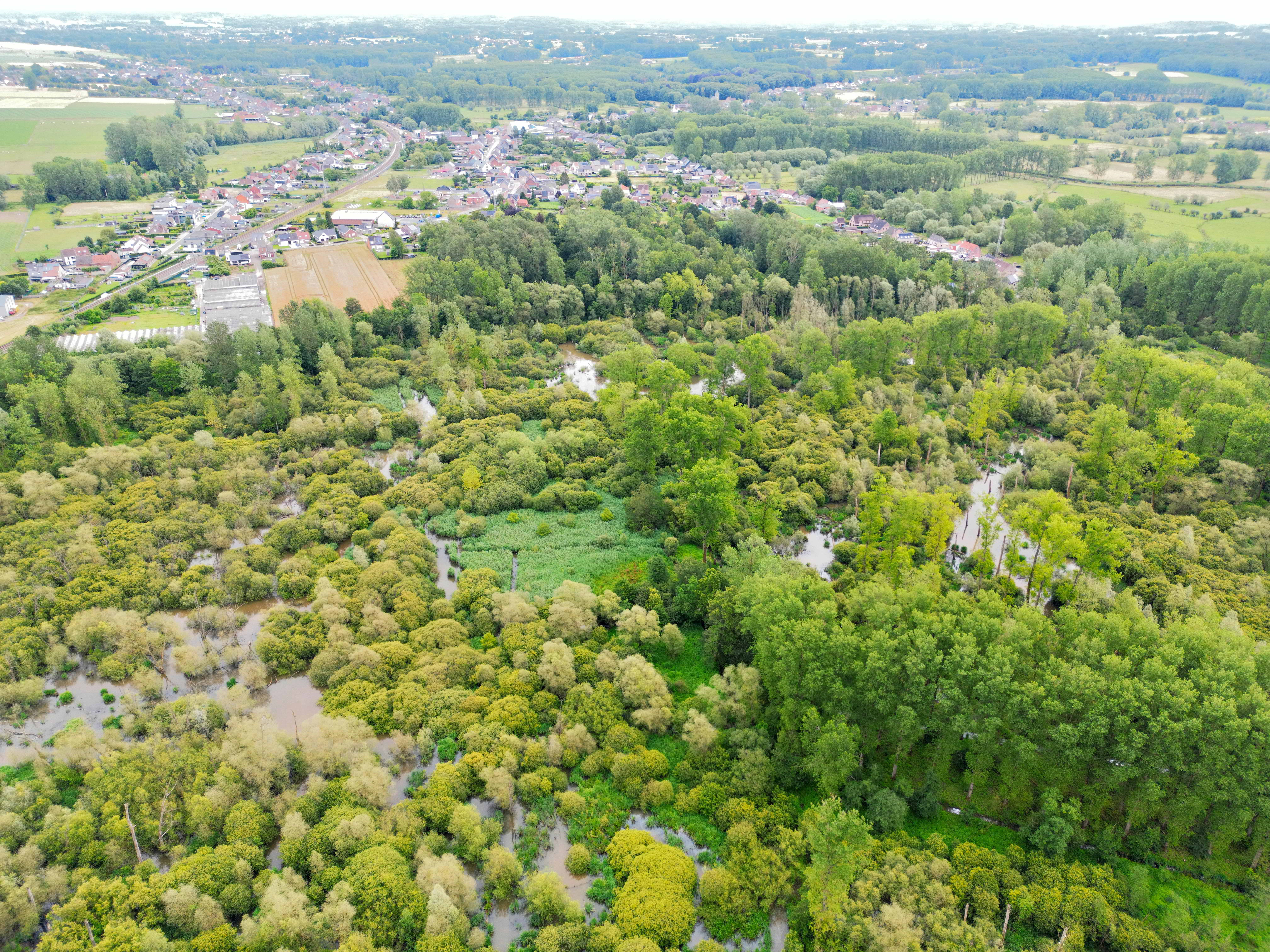 Vrijstaande Woning Op Prachtig Perceel Aan Natuurgebied