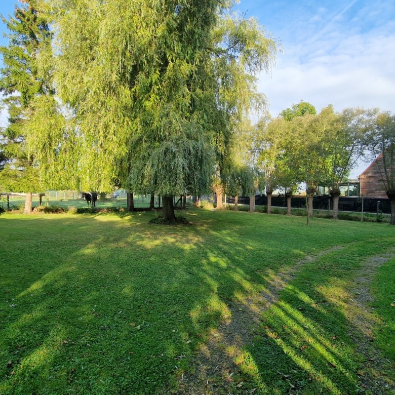 Vrijstaande Woning Op Prachtig Perceel Aan Natuurgebied