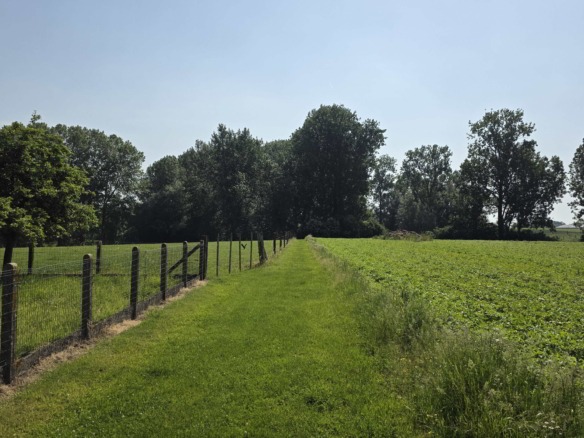 Kloeke open bebouwing met prachtige verzichten en tal van mogelijkheden op toplocatie