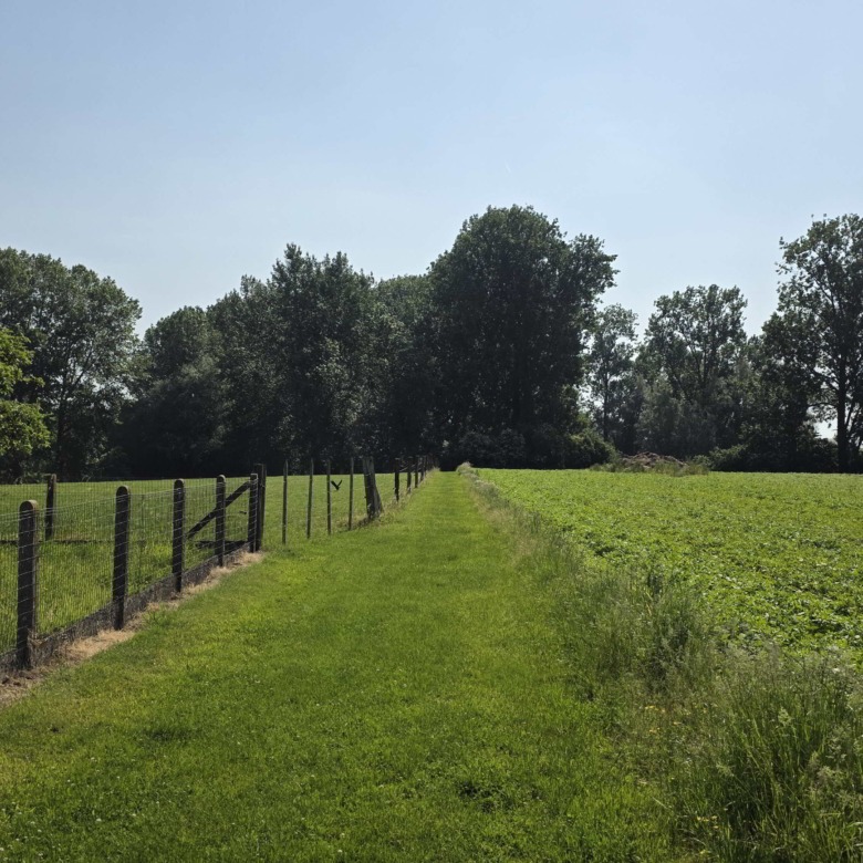 Kloeke open bebouwing met prachtige verzichten en tal van mogelijkheden op toplocatie