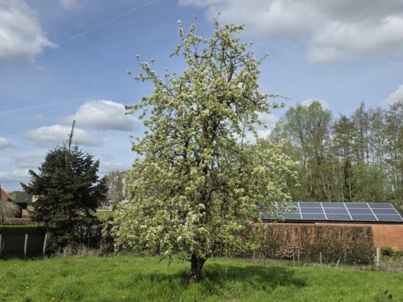 Karaktervolle woning met bijgebouwen en stallingen in hartje Zarlardinge