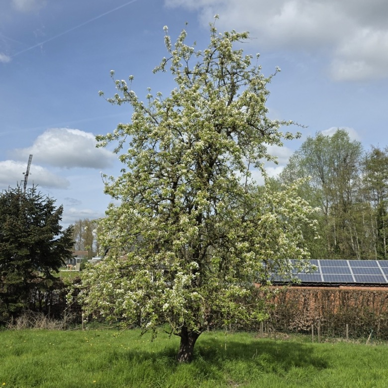 Karaktervolle woning met bijgebouwen en stallingen in hartje Zarlardinge