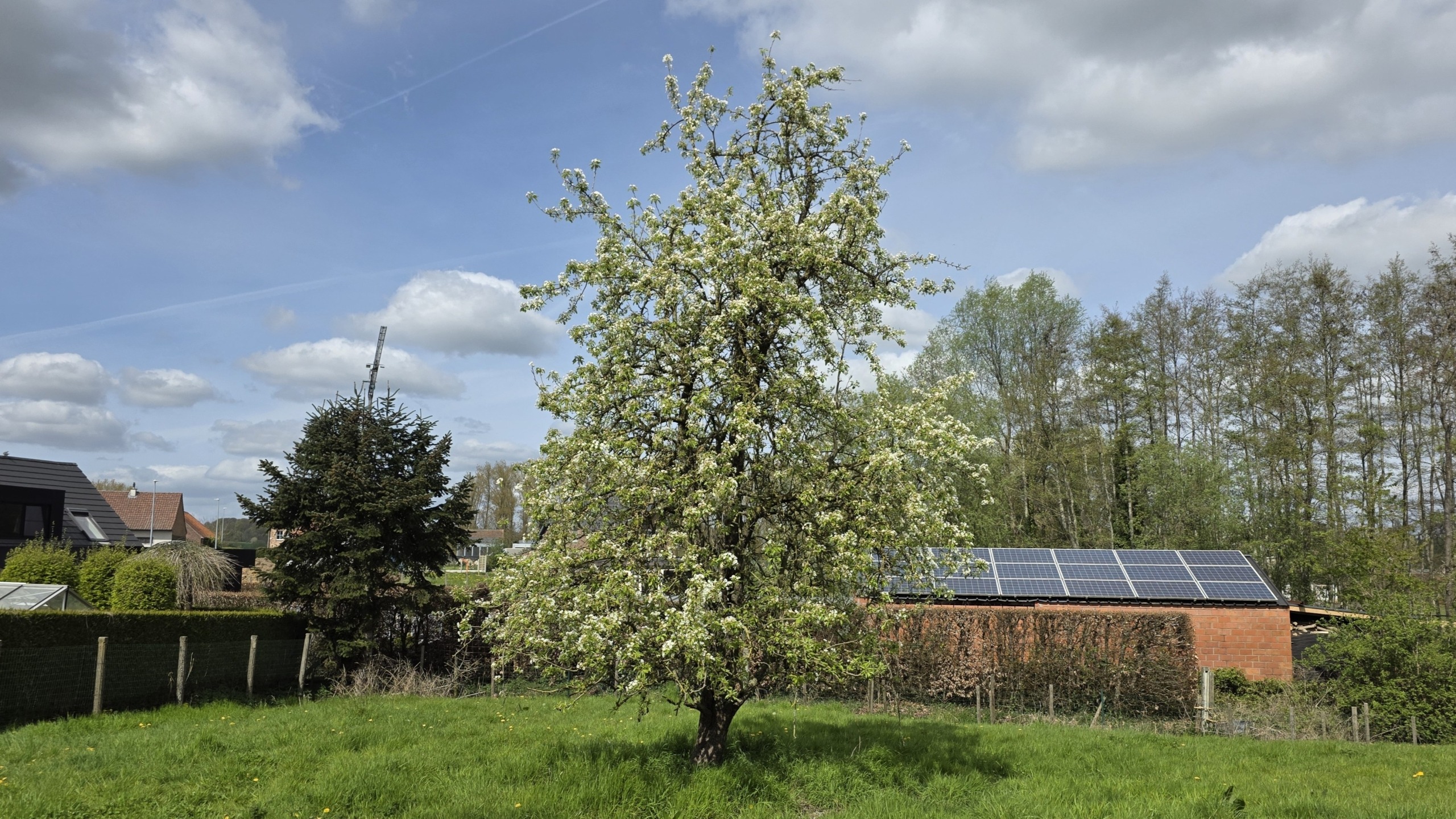 Karaktervolle woning met bijgebouwen en stallingen in hartje Zarlardinge