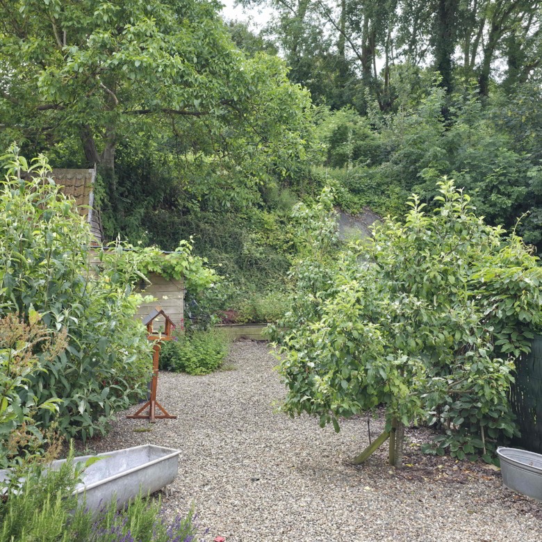 Gezellige instapklare woning met mooie zonnige tuin
