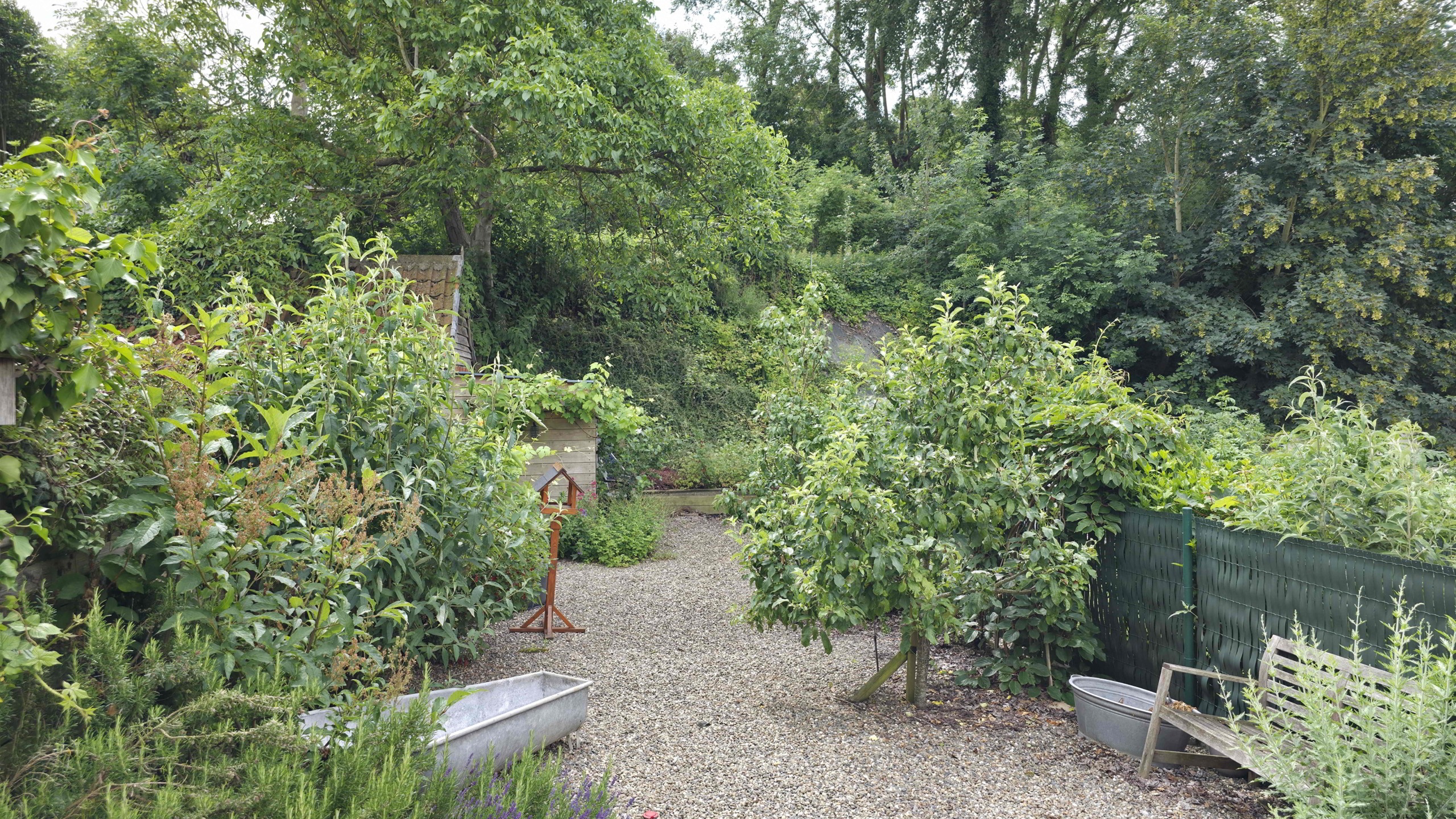 Gezellige instapklare woning met mooie zonnige tuin