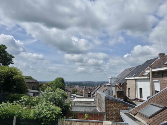 Gezellige instapklare woning met mooie zonnige tuin