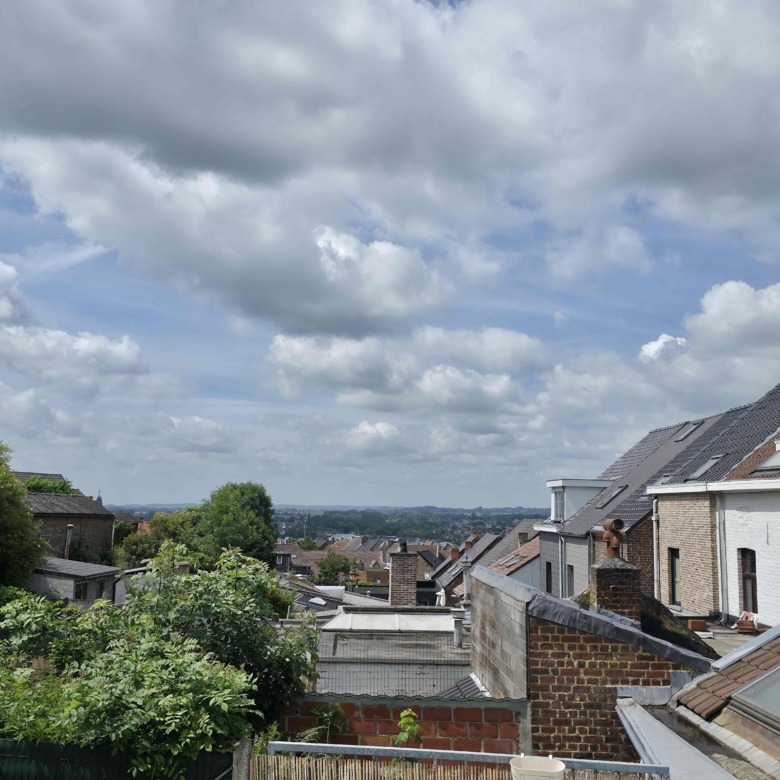 Gezellige instapklare woning met mooie zonnige tuin
