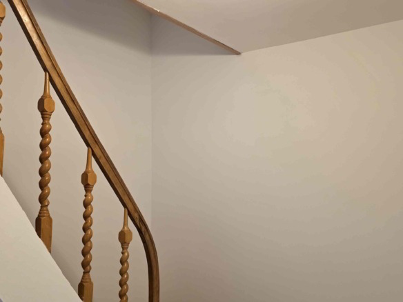 Grote gerenoveerde woning in een groene omgeving nabij het Boelarebos