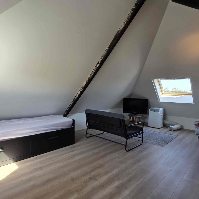 Grote gerenoveerde woning in een groene omgeving nabij het Boelarebos