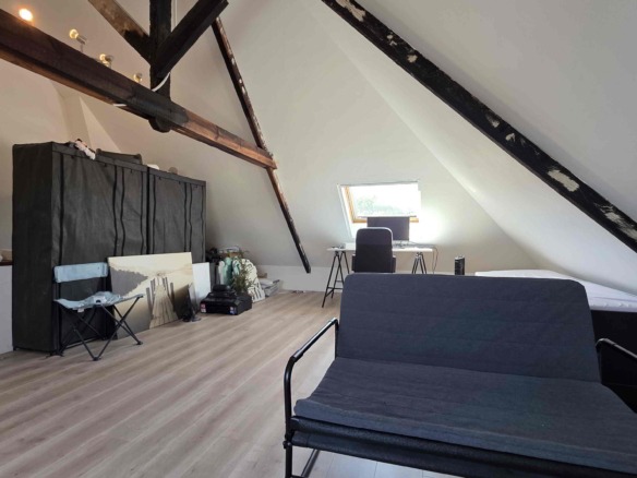 Grote gerenoveerde woning in een groene omgeving nabij het Boelarebos