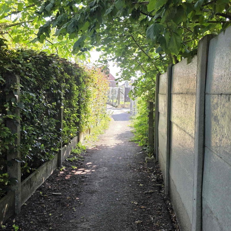 Grote gerenoveerde woning in een groene omgeving nabij het Boelarebos