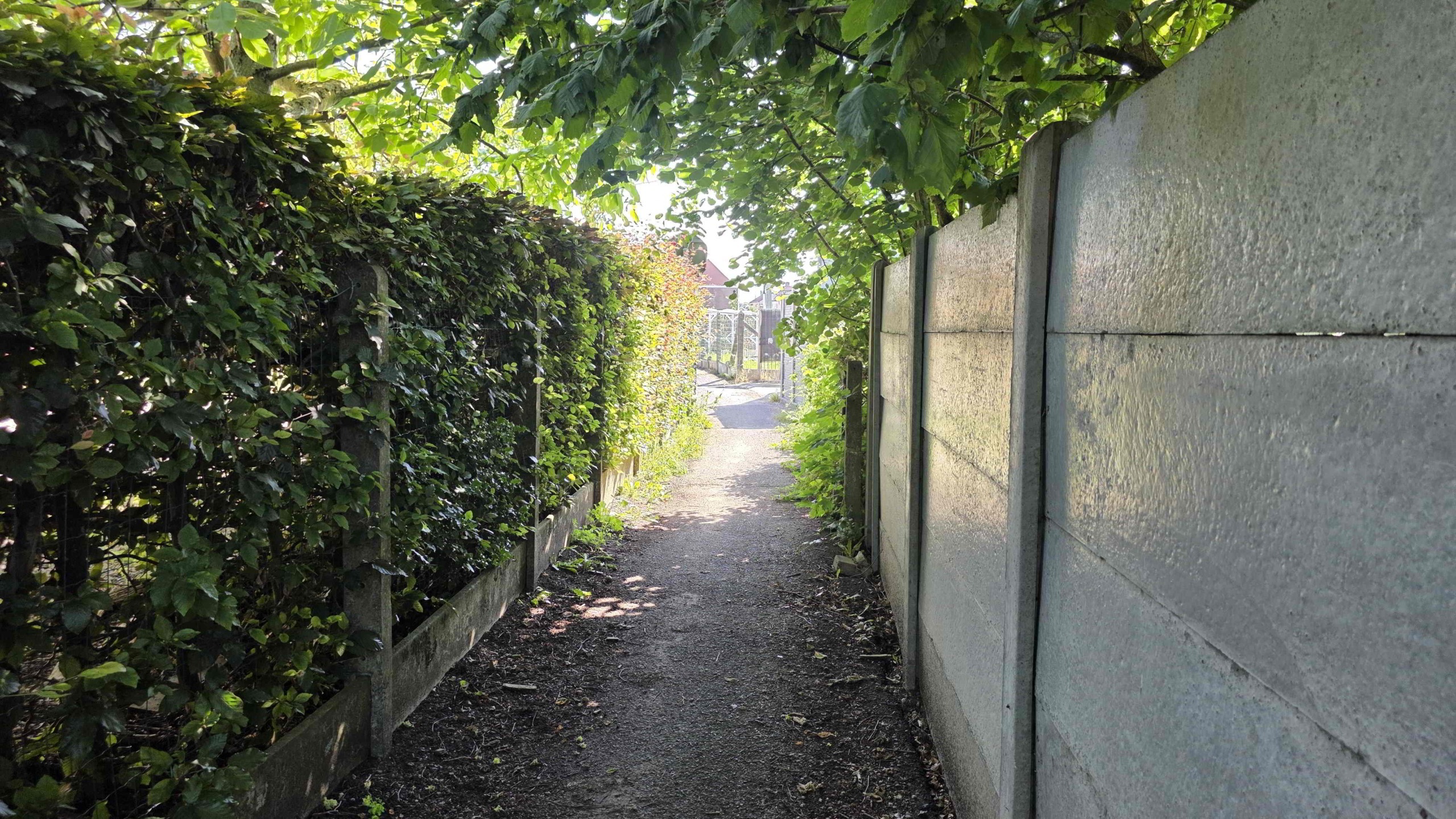 Grote gerenoveerde woning in een groene omgeving nabij het Boelarebos