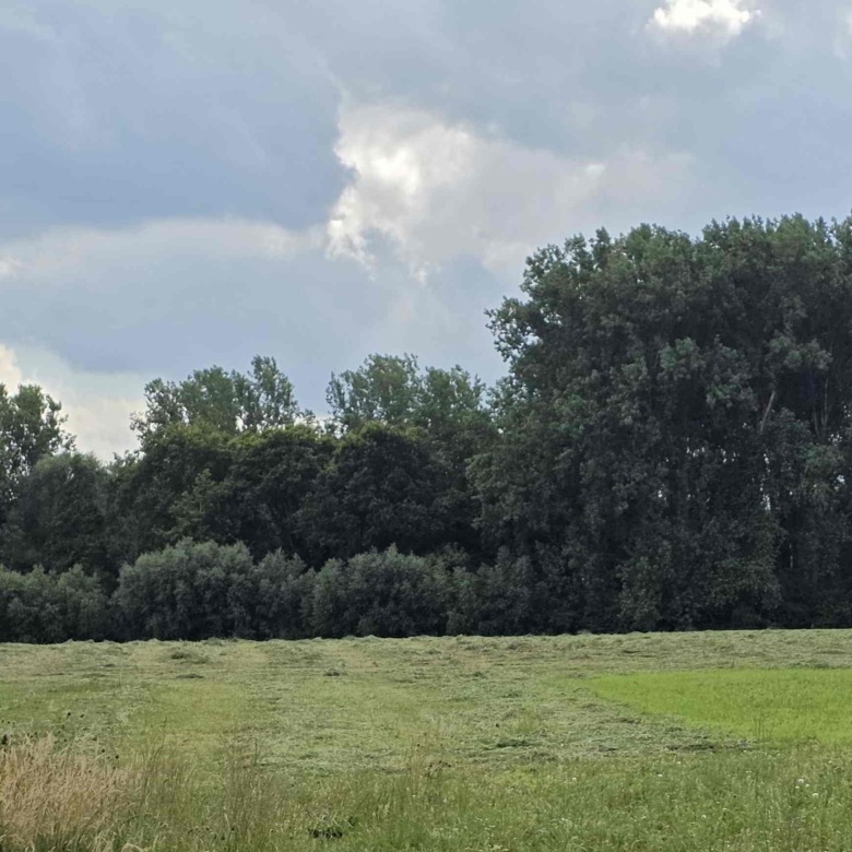 Rustig gelegen bouwgrond in landelijke omgeving