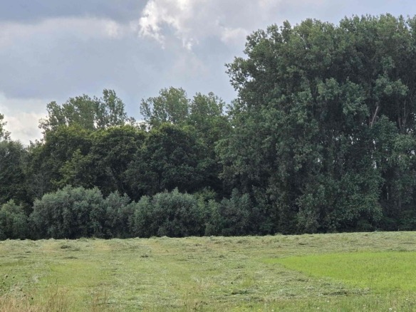 Rustig gelegen bouwgrond in landelijke omgeving