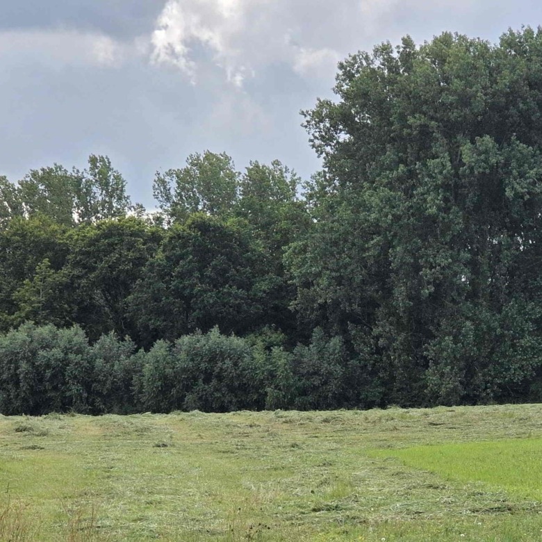 Rustig gelegen bouwgrond in landelijke omgeving