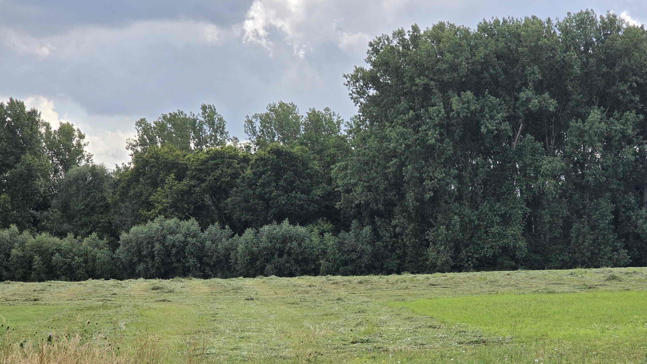 Rustig gelegen bouwgrond in landelijke omgeving
