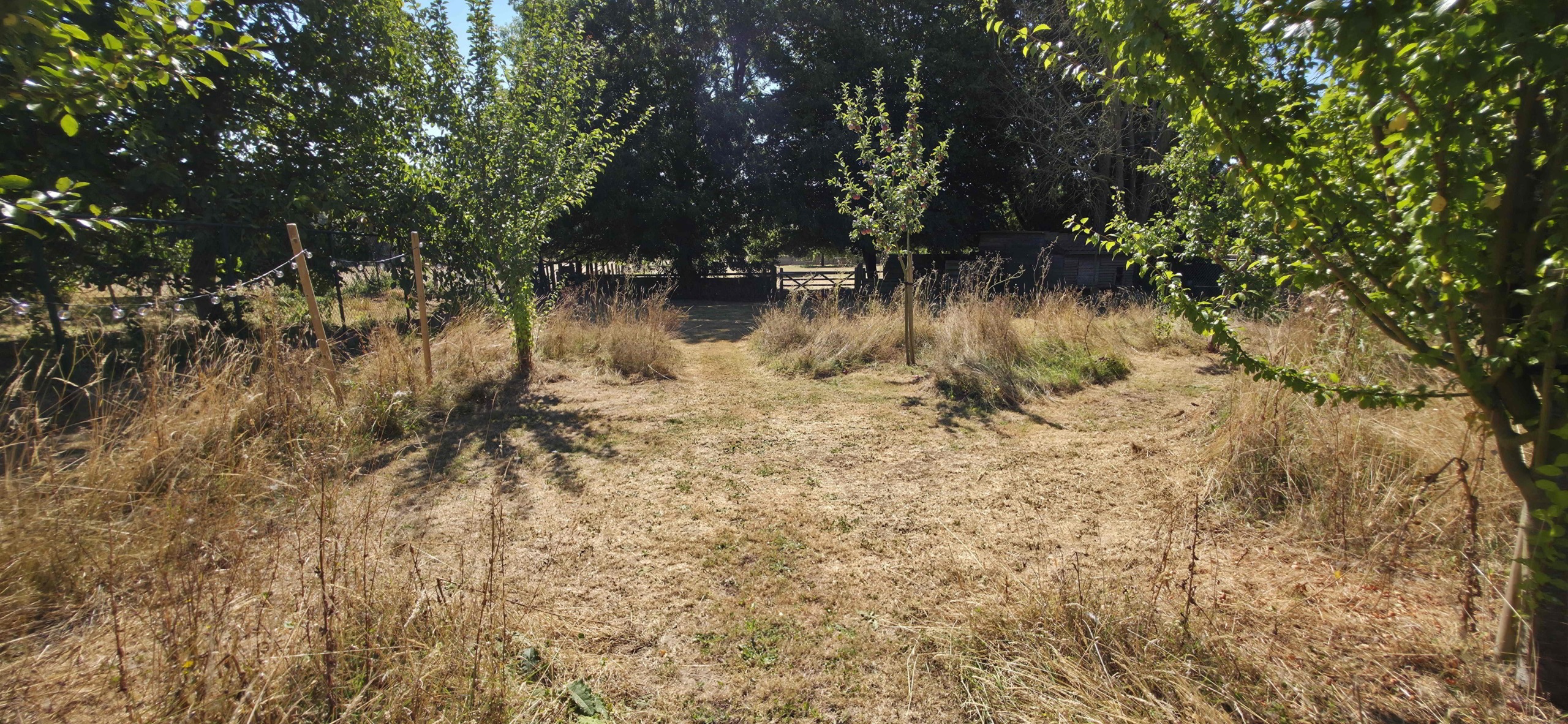 Enorm lichtrijke en energiezuinige woning met uitzonderlijk potentieel!