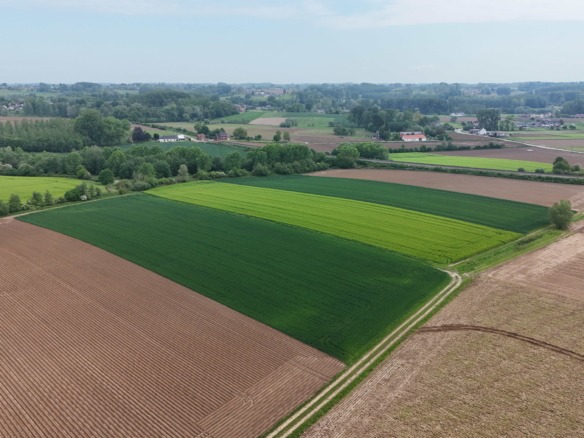 Mooi en rustig gelegen woning met zonnige, zuidgerichte tuin