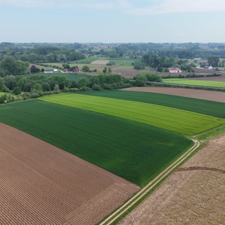 Mooi en rustig gelegen woning met zonnige, zuidgerichte tuin